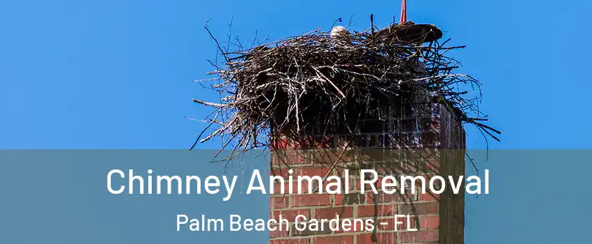Chimney Animal Removal Palm Beach Gardens - FL