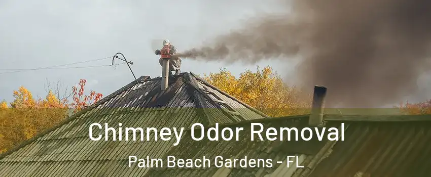  Chimney Odor Removal Palm Beach Gardens - FL